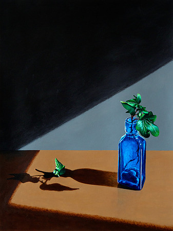 Asterisk Ivy, In Blue