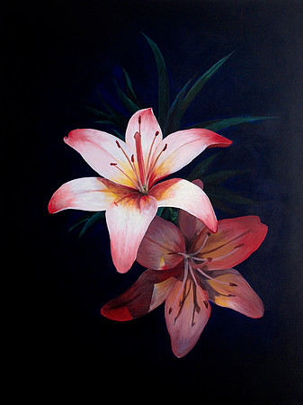 Lilies